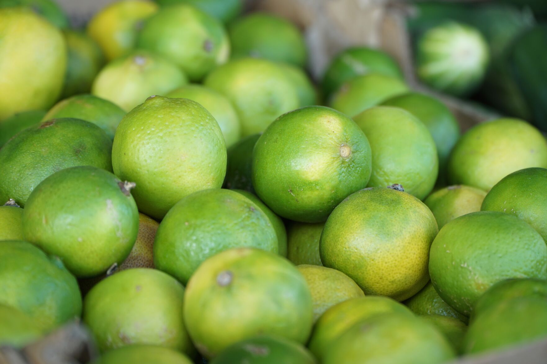 Fruit stand (3).JPG